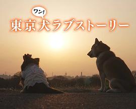 东京犬爱情故事