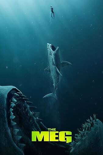 巨齿鲨 2018