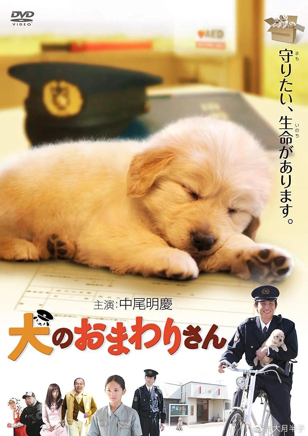 小狗的巡警先生 2011