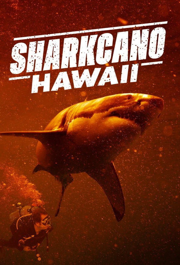 鲨鱼卡诺：夏威夷
