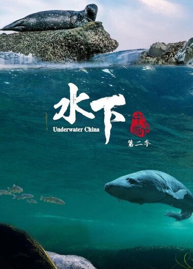 水下中国 第二季