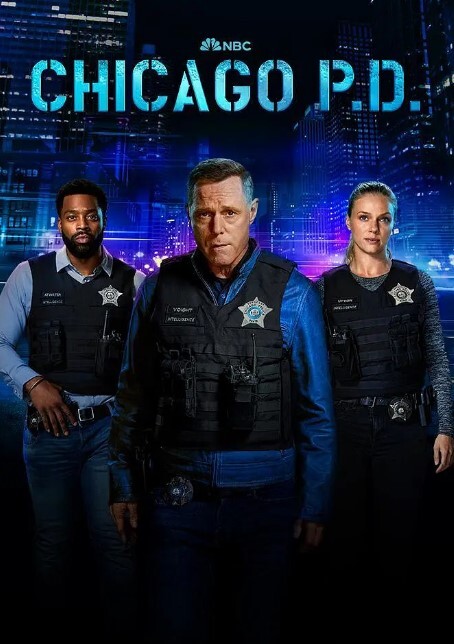 芝加哥警署 第十一季